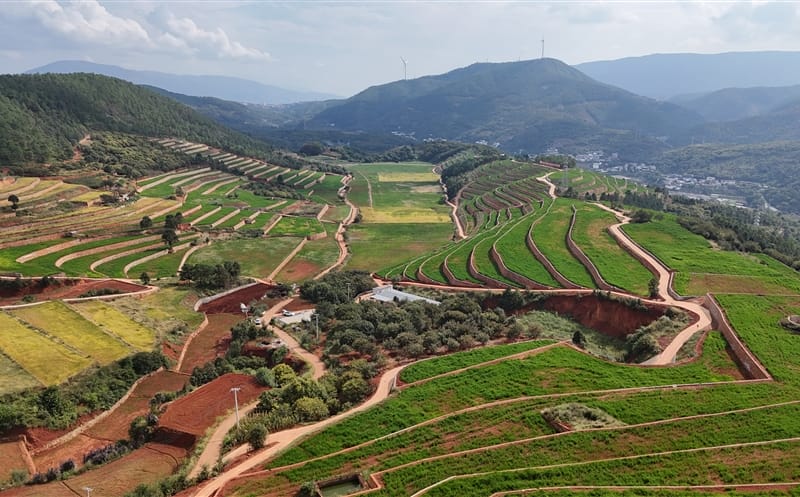 三时而立 我为集团绘新篇丨三周年征文大赛优秀作品展（五）