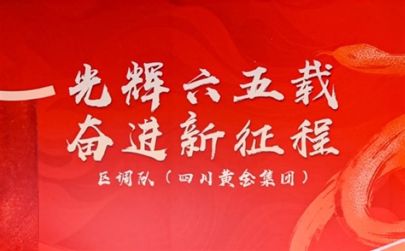 新年新篇新征程—贺区调队（四川黄金集团）三会圆满召开