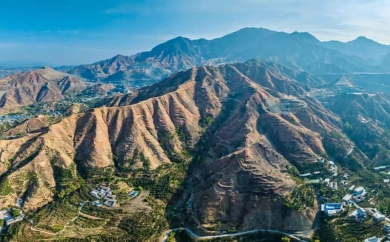 “新”“新”向荣强动能丨安博电竞改革发展综述