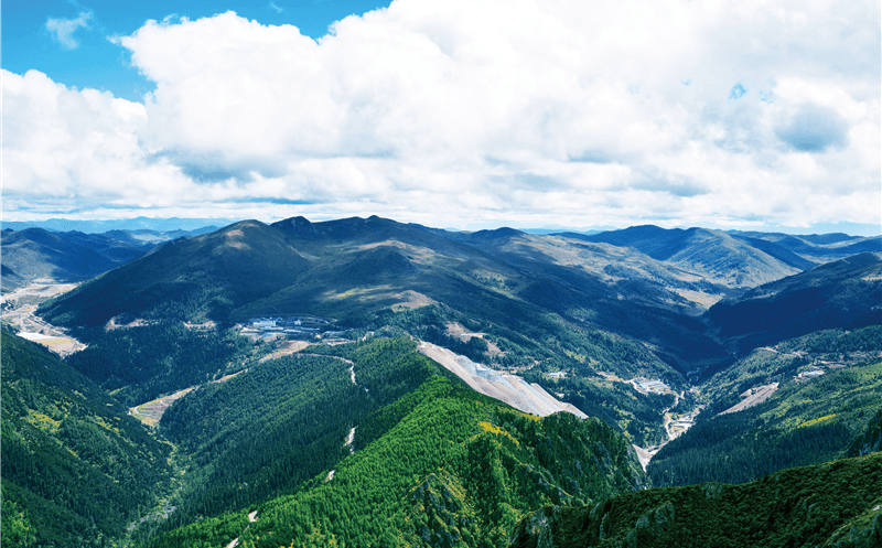 三时而立 我为集团绘新篇丨三周年征文大赛优秀作品展（三）