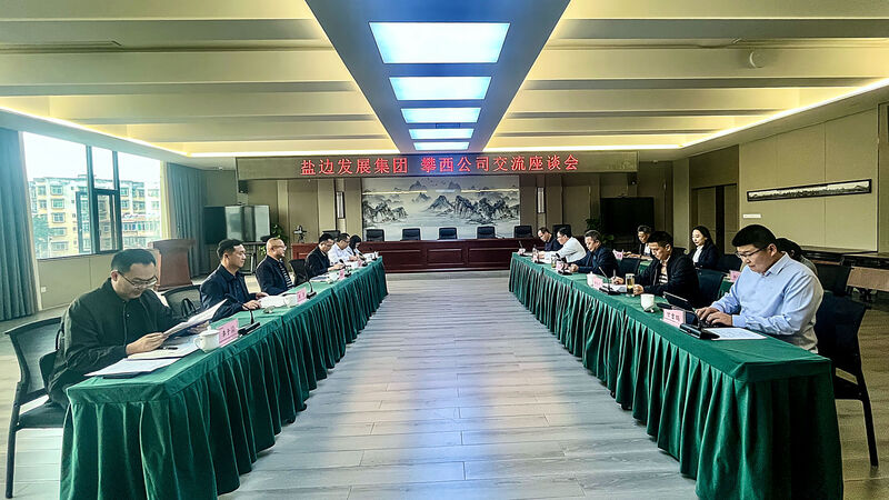 盐边发展（集团）公司赴攀西公司交流座谈
