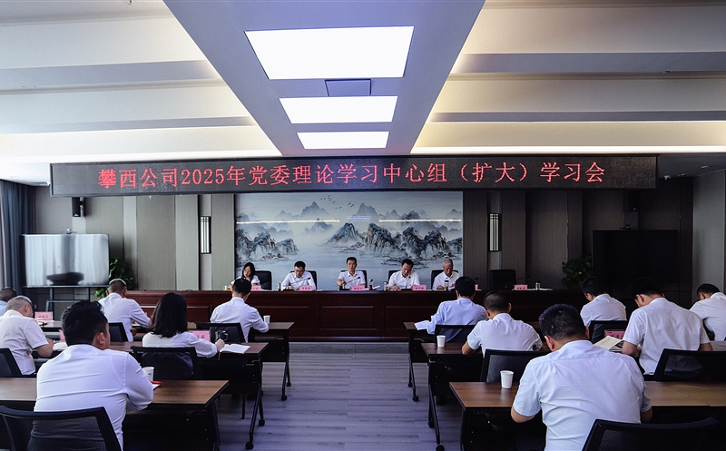 攀西公司党委召开理论学习中心组（扩大）学习会议