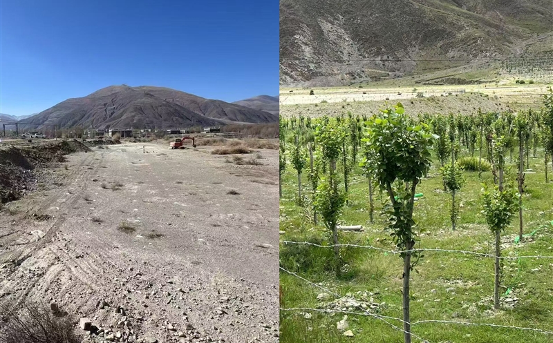 匠心绘就生态新画卷 矿勘集团地调公司助力废弃矿山“美颜重生”