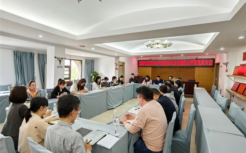 测绘公司各党支部召开2024年度组织生活会、民主评议党员