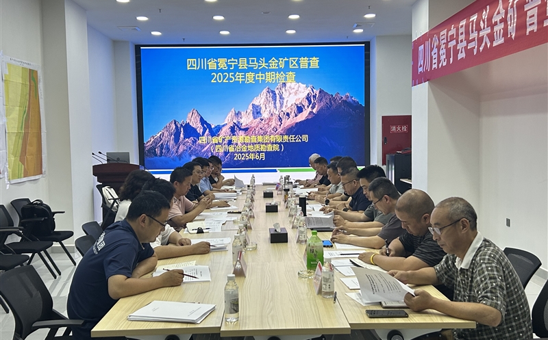 矿勘集团承担的省财政投资项目冕宁县马头金矿区普查通过省自然安博电竞厅2025年度中期检查