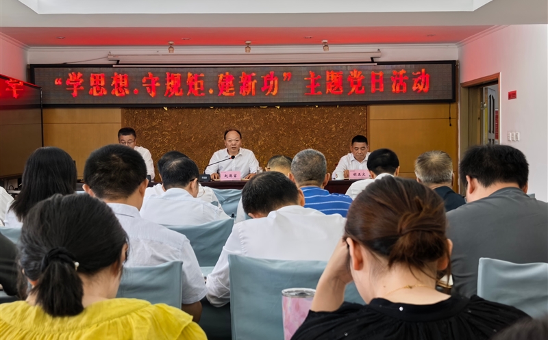 测绘公司党委召开“学思想·守规矩·建新功”主题党日活动