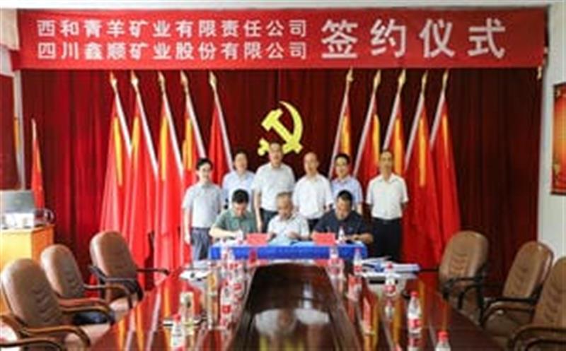 鑫顺矿业成功控股西和青羊矿业