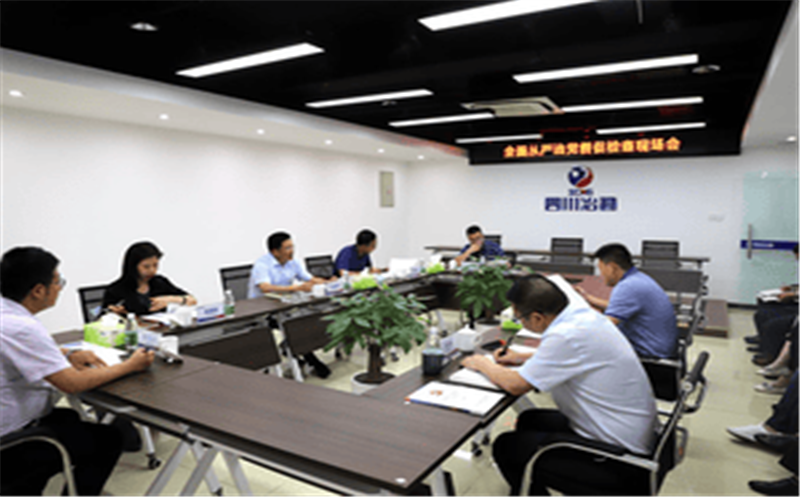 中共四川省冶勘物流有限公司支部委员会 召开全面从严治党督促检查现场会