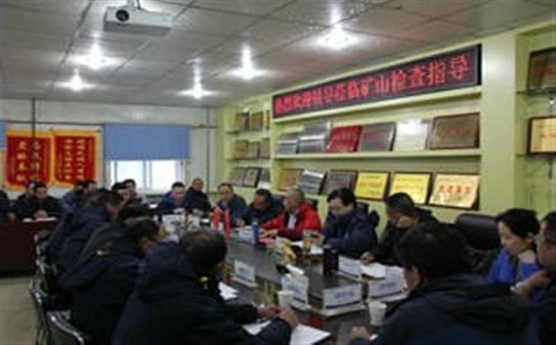 李仕荣一行到松树南沟金矿检查指导工作并考察周边安博电竞情况