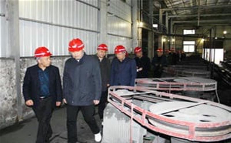 局党委书记、局长陈贵林一行到青羊矿业调研指导