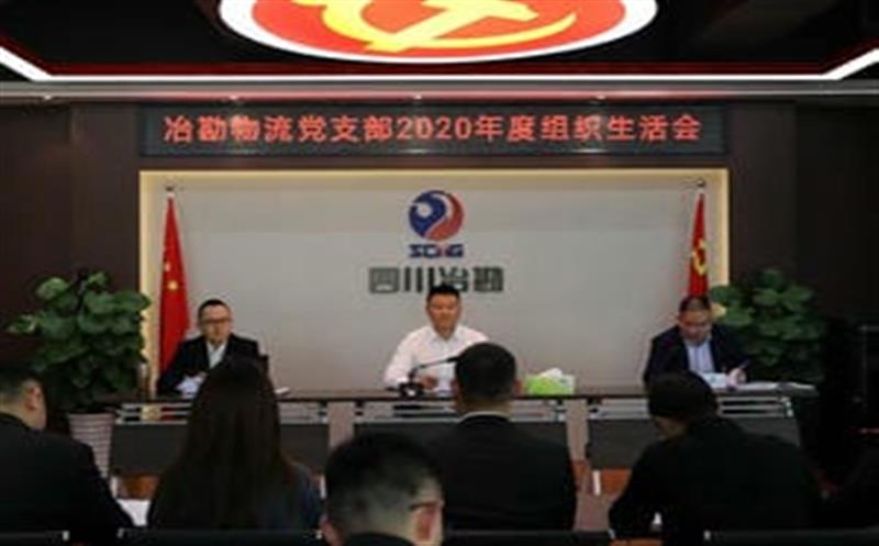 冶勘物流党支部召开2020年度组织生活会