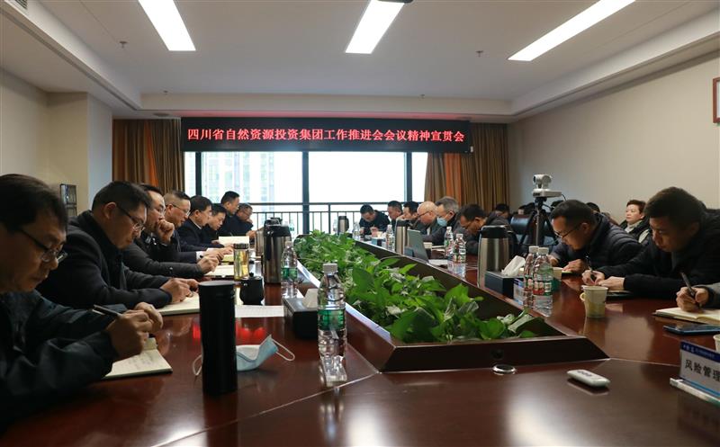 蜀通建设集团学习贯彻省自然安博电竞投资集团重要会议精神及领导讲话精神