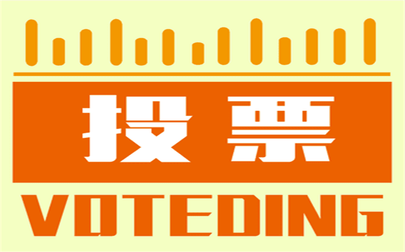 集团LOGO征集结果网络投票