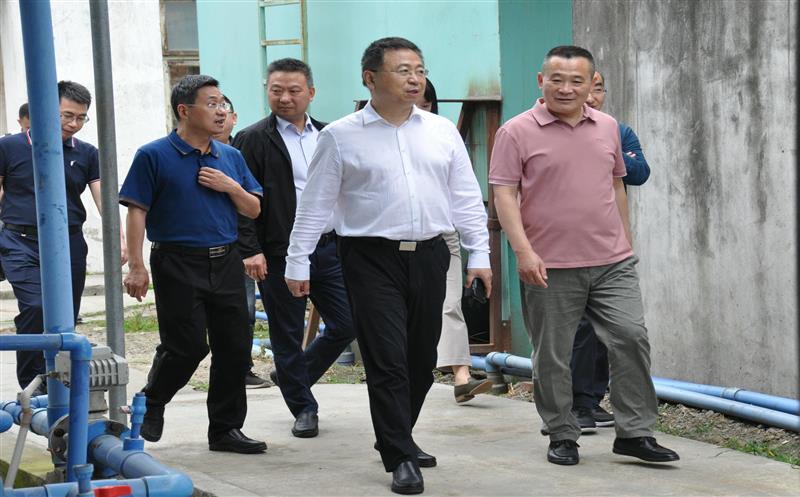 江涛一行到泰华堂制药调研