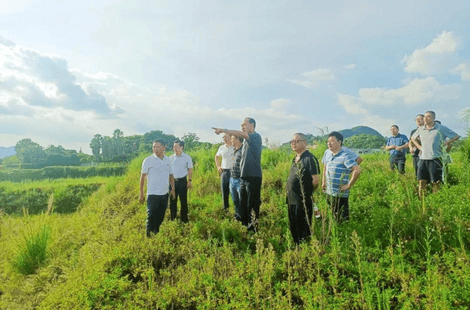 安博电竞·(anbo)官方网站