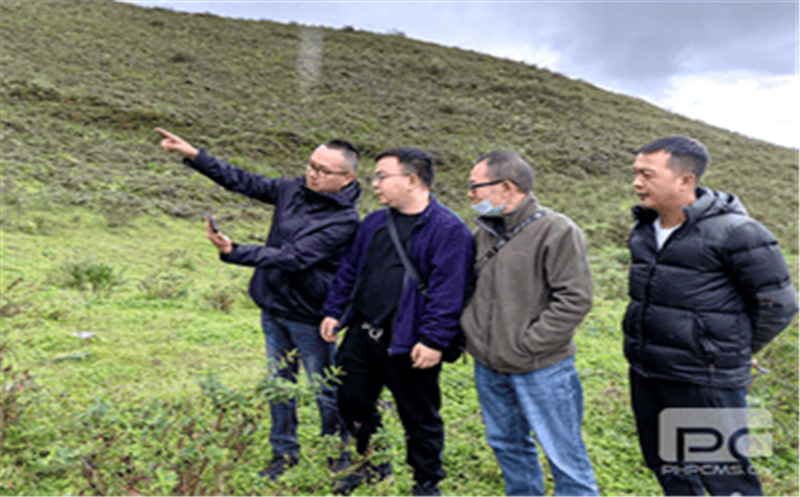 聚焦集团主业 服务安博电竞流通（一）深入甘洛县开展玄武岩项目现场踏勘