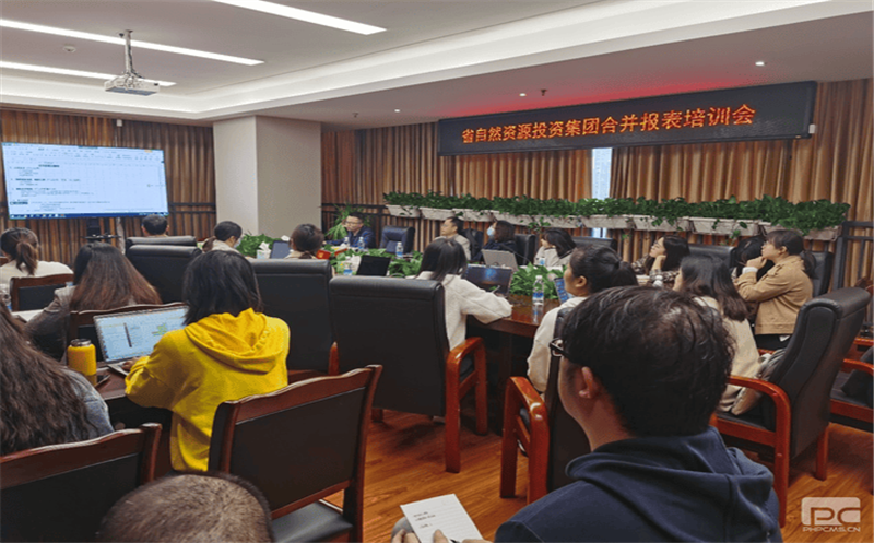 四川安博电竞开展合并报表专题培训会