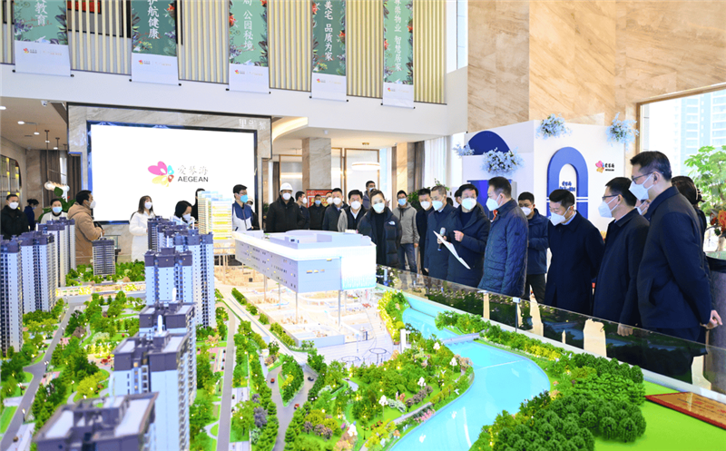 泸州市委书记杨林兴率队到众城·繁华里（爱琴海购物公园）项目调研指导工作