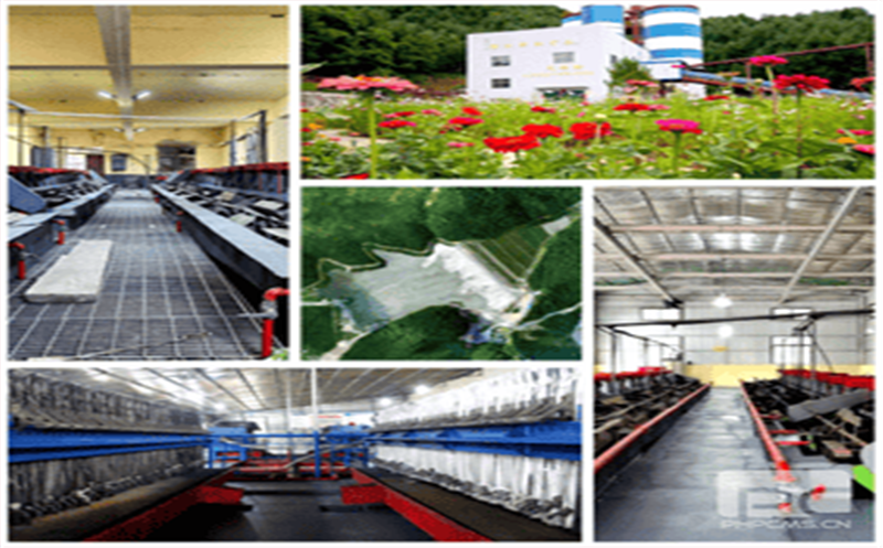 喜报丨青羊矿业喜获“2022年甘肃省第三批高新技术企业