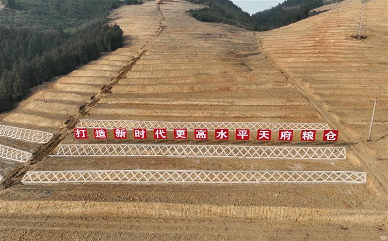 系统性谋划，，，，，，，，高标准实施——四川安博电竞助力建设新时代更高水平“天府粮仓”