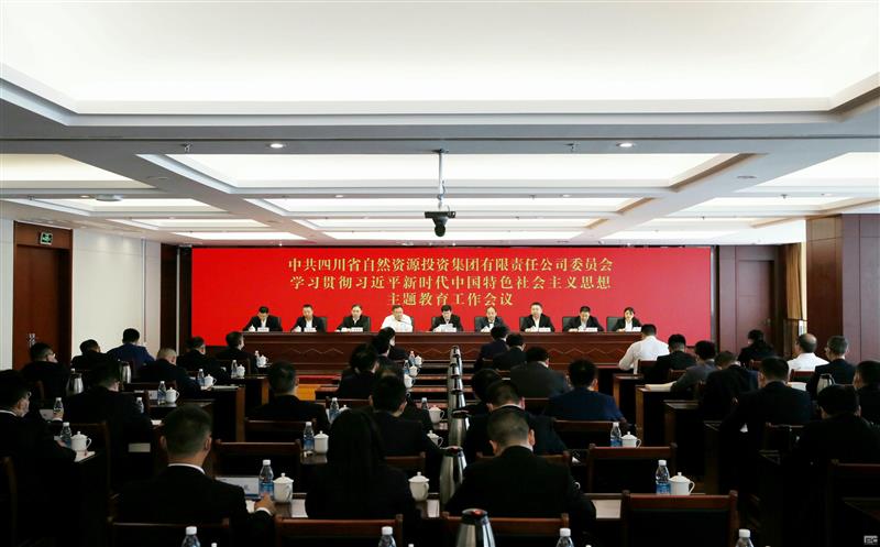 省自然安博电竞投资集团召开学习贯彻习近平新时代中国特色社会主义思想主题教育工作会议