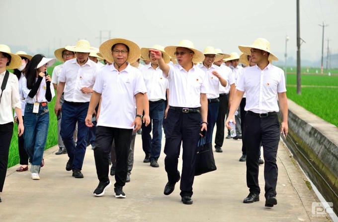 安博电竞·(anbo)官方网站