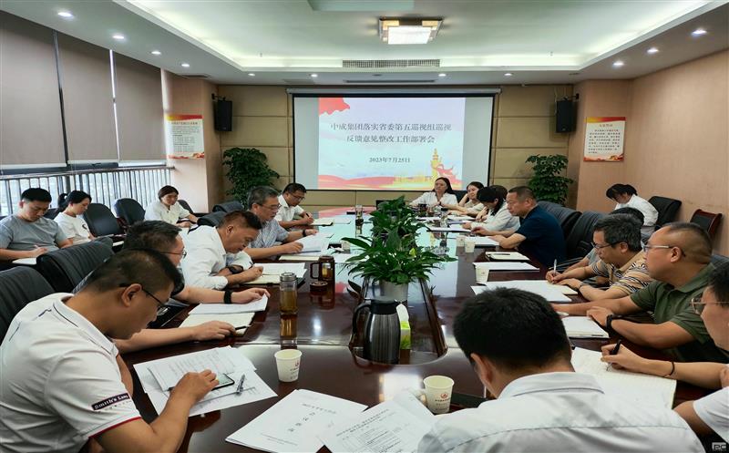 中成集团召开落实省委巡视反馈意见整改工作部署会