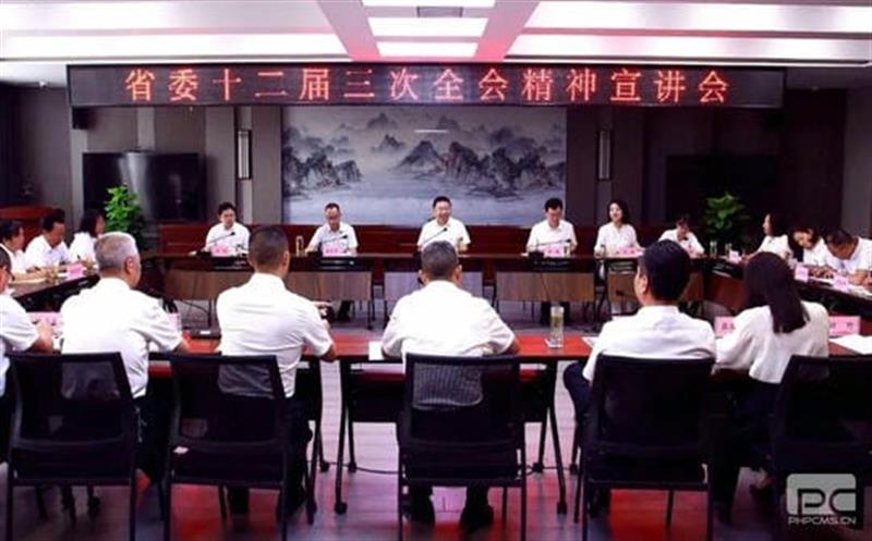 集团党委副书记、副董事长、总经理江涛赴基层宣讲省委十二届三次全会精神暨开展主题教育调研