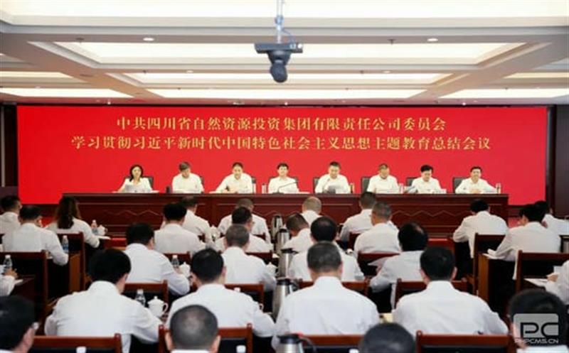 集团党委召开学习贯彻习近平新时代中国特色社会主义思想主题教育总结会议