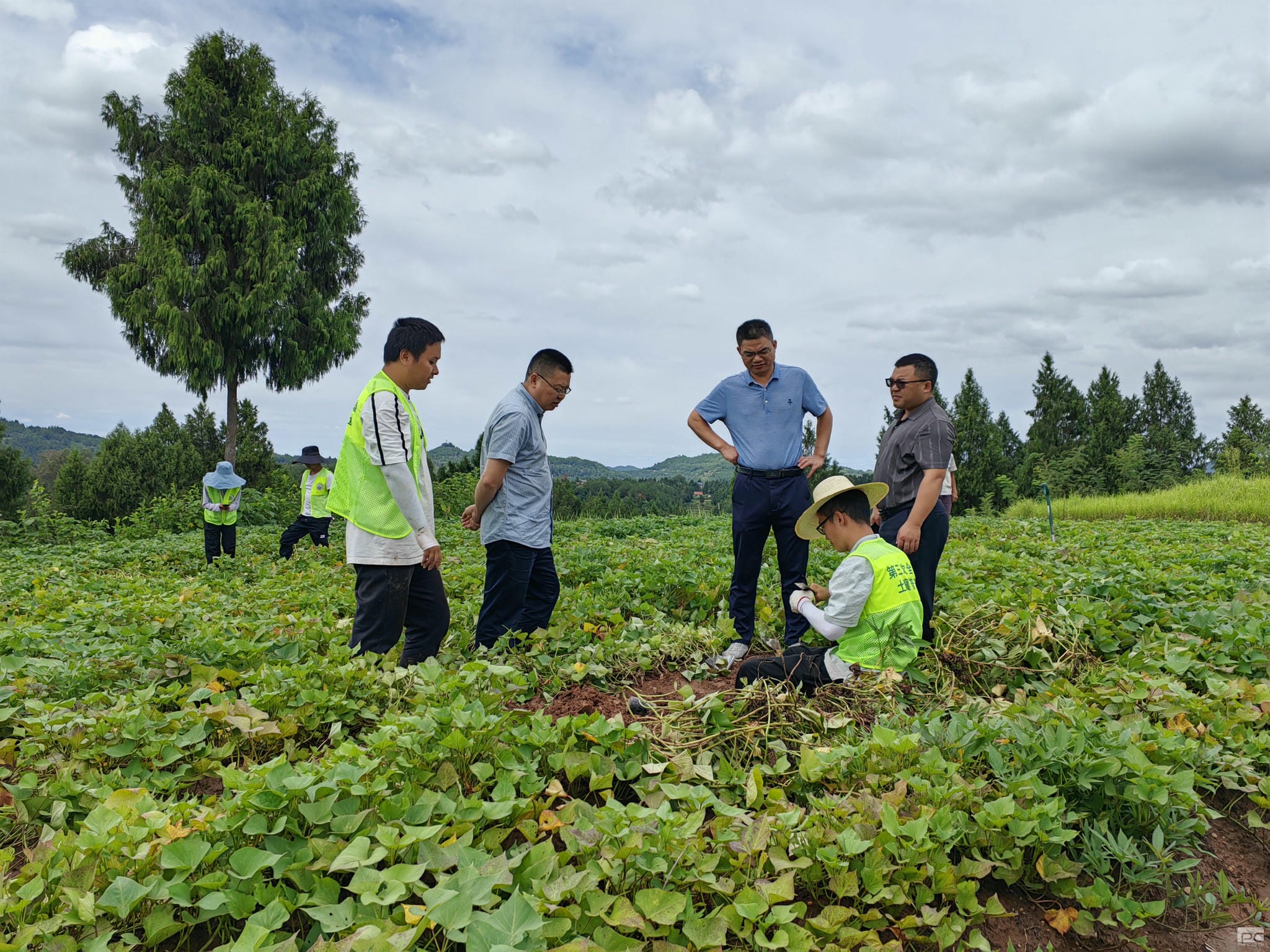 安博电竞·(anbo)官方网站