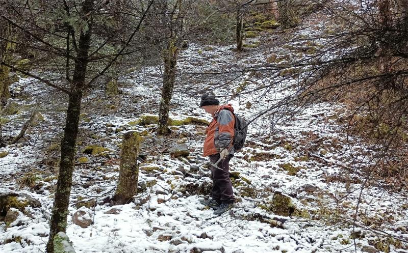 “一名党员就是一面旗帜”——区调所党员带头在木里县开展新一轮找矿突破战略行动
