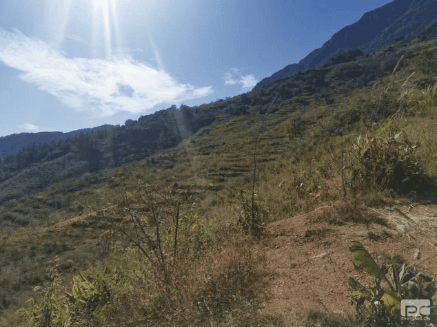 安博电竞·(anbo)官方网站