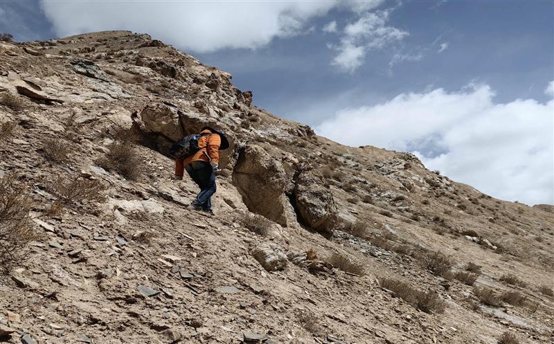 立足岗位作贡献，，，，，，我为党旗添光彩——记2023阿尔金山矿产勘查项目组野外工作