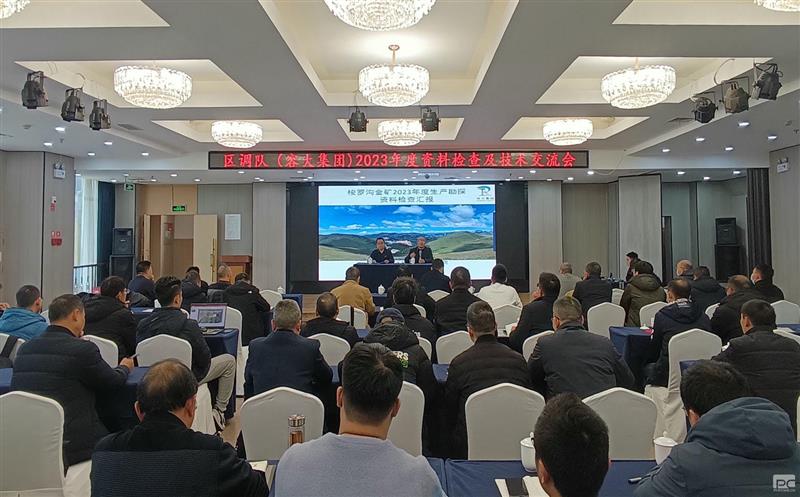 互学互鉴，，，，，，，，共同进步——区调队（容大集团）召开2023年度资料检查及技术交流会