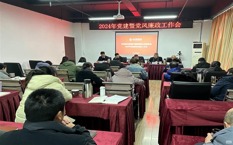 强化政治引领 坚持不懈把全面从严治党向纵深推进 ——四川省地矿物资有限公司召开2024年党风廉政建设 专题会议