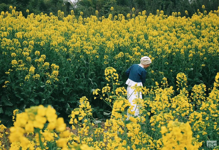 安博电竞·(anbo)官方网站