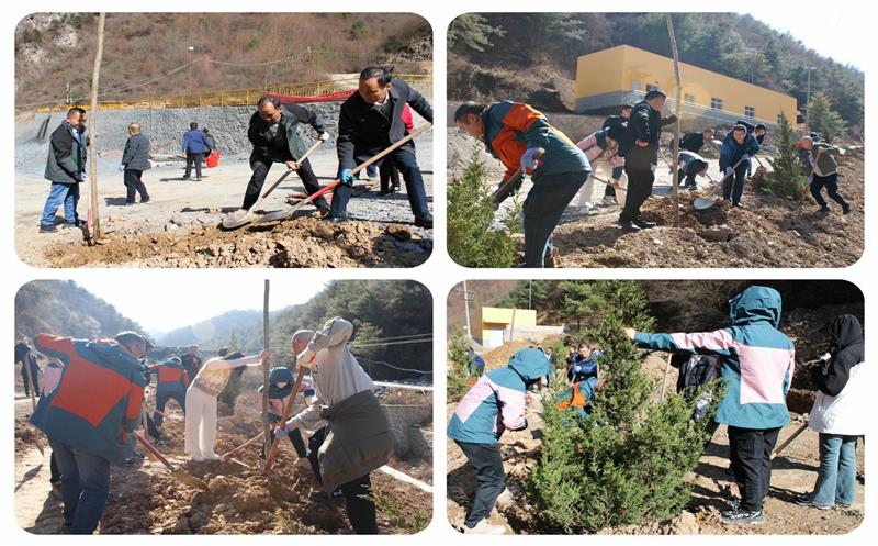 “植”此青绿，，，，，共聚青羊——鑫顺矿业开展2024新春绿色行植树活动