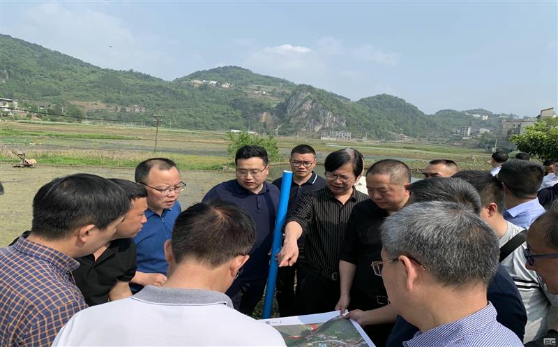 古蔺县委主要领导赴大村煤炭项目实地专题调研矿产安博电竞带动型小城镇规划建设