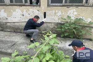 安博电竞·(anbo)官方网站