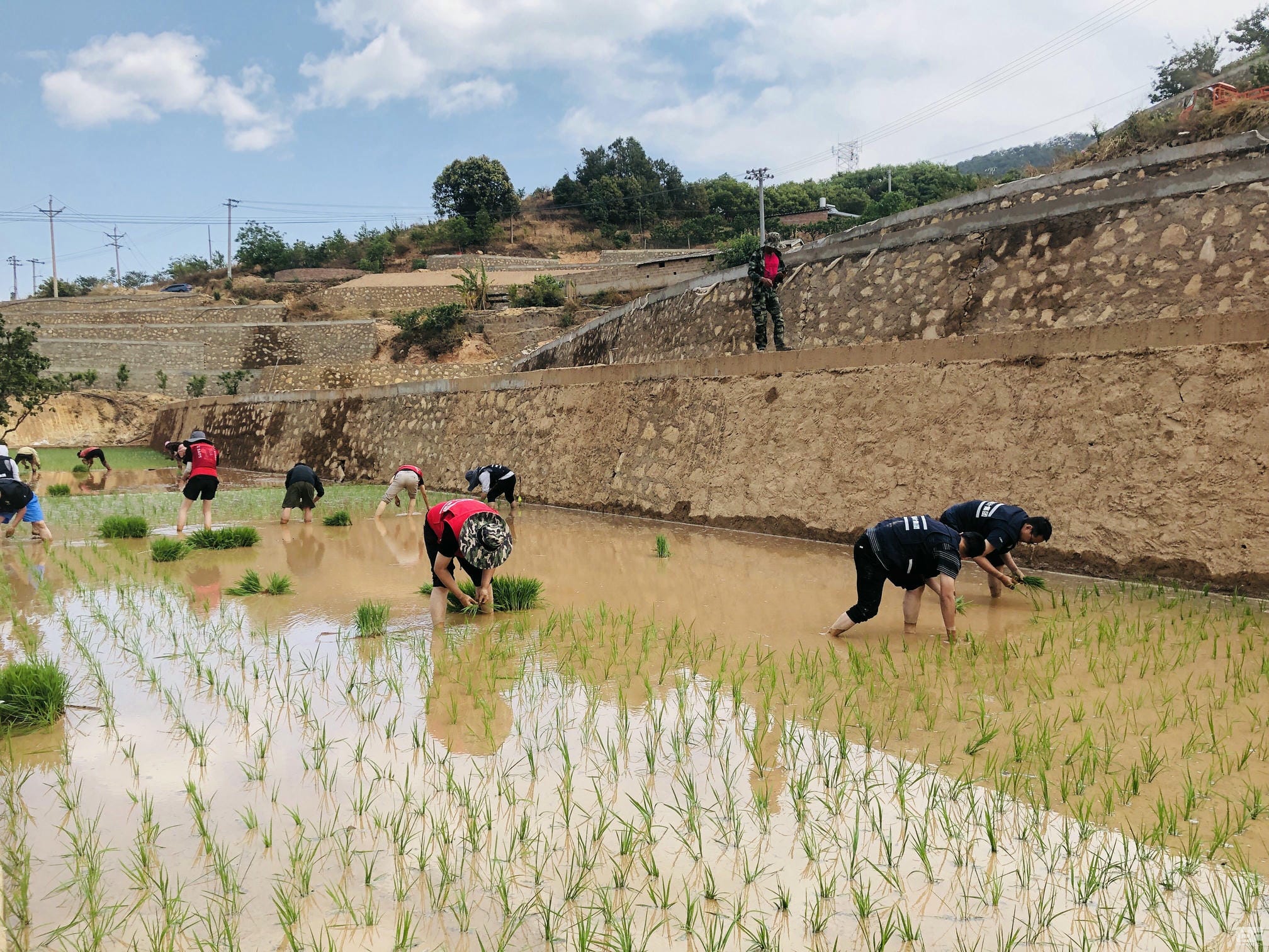 安博电竞·(anbo)官方网站