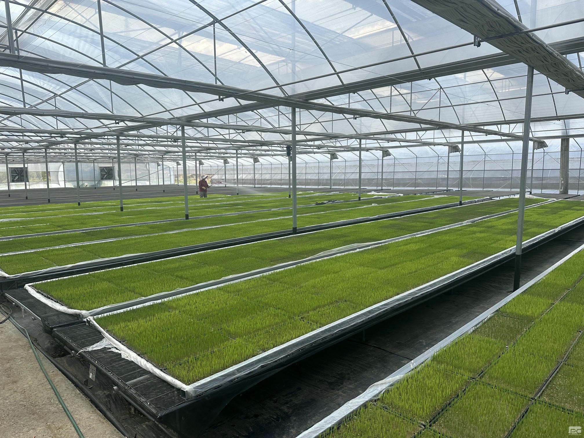 安博电竞·(anbo)官方网站