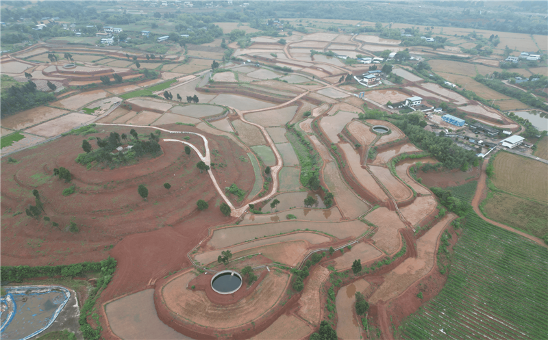 四川土地集团：守土尽责 躬耕天府  践行“国之大者”