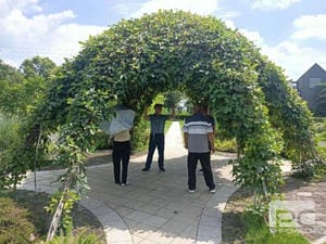 安博电竞·(anbo)官方网站