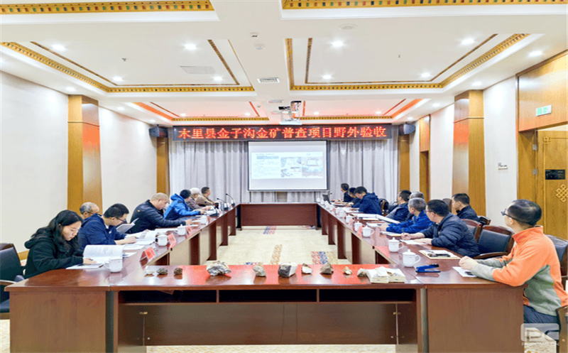 区调队承做的四川省木里县金子沟金矿普查项目顺利通过野外验收