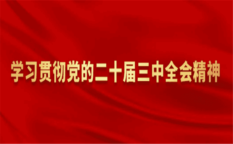 置业集团党委召开理论学习中心组学习（扩大）会传达学习贯彻党的二十届三中全会精神