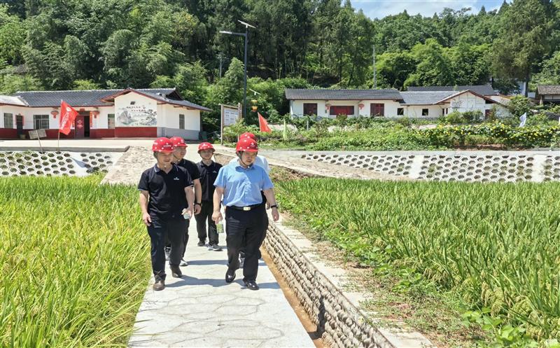 集团领导到核西南院蓬安县整县推进 高标准农田建设试点项目调研指导工作