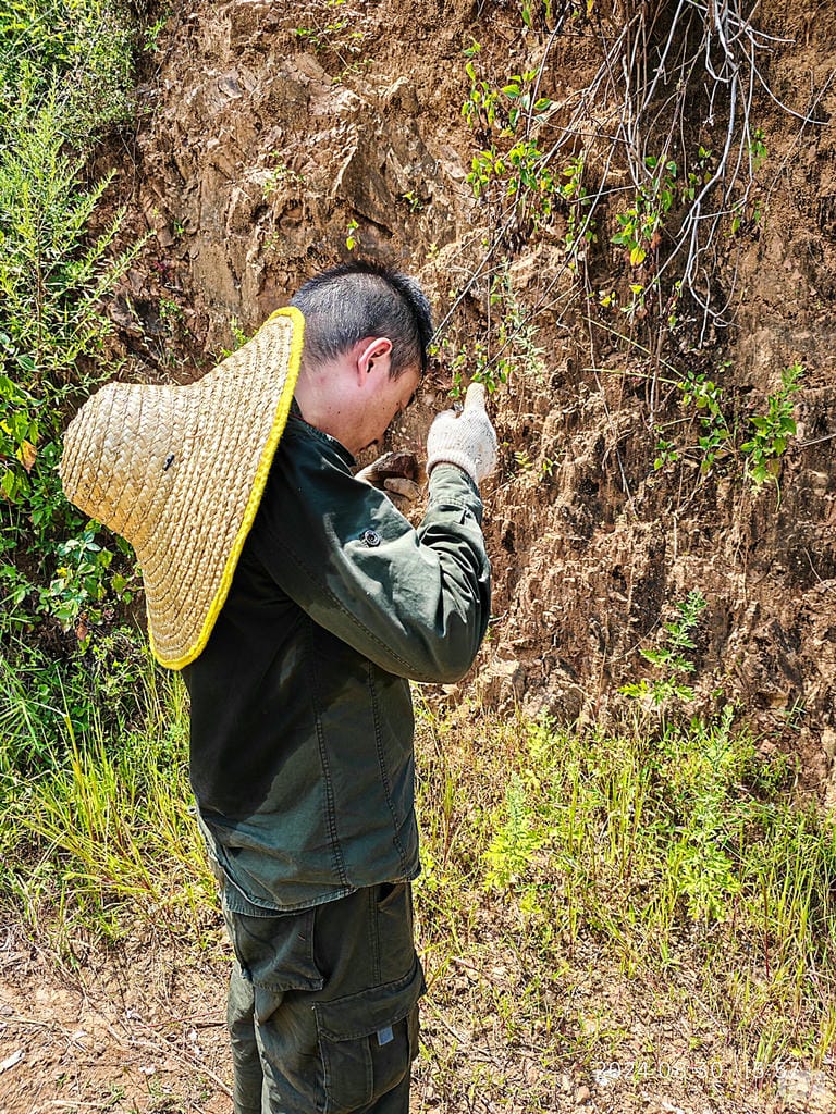 安博电竞·(anbo)官方网站