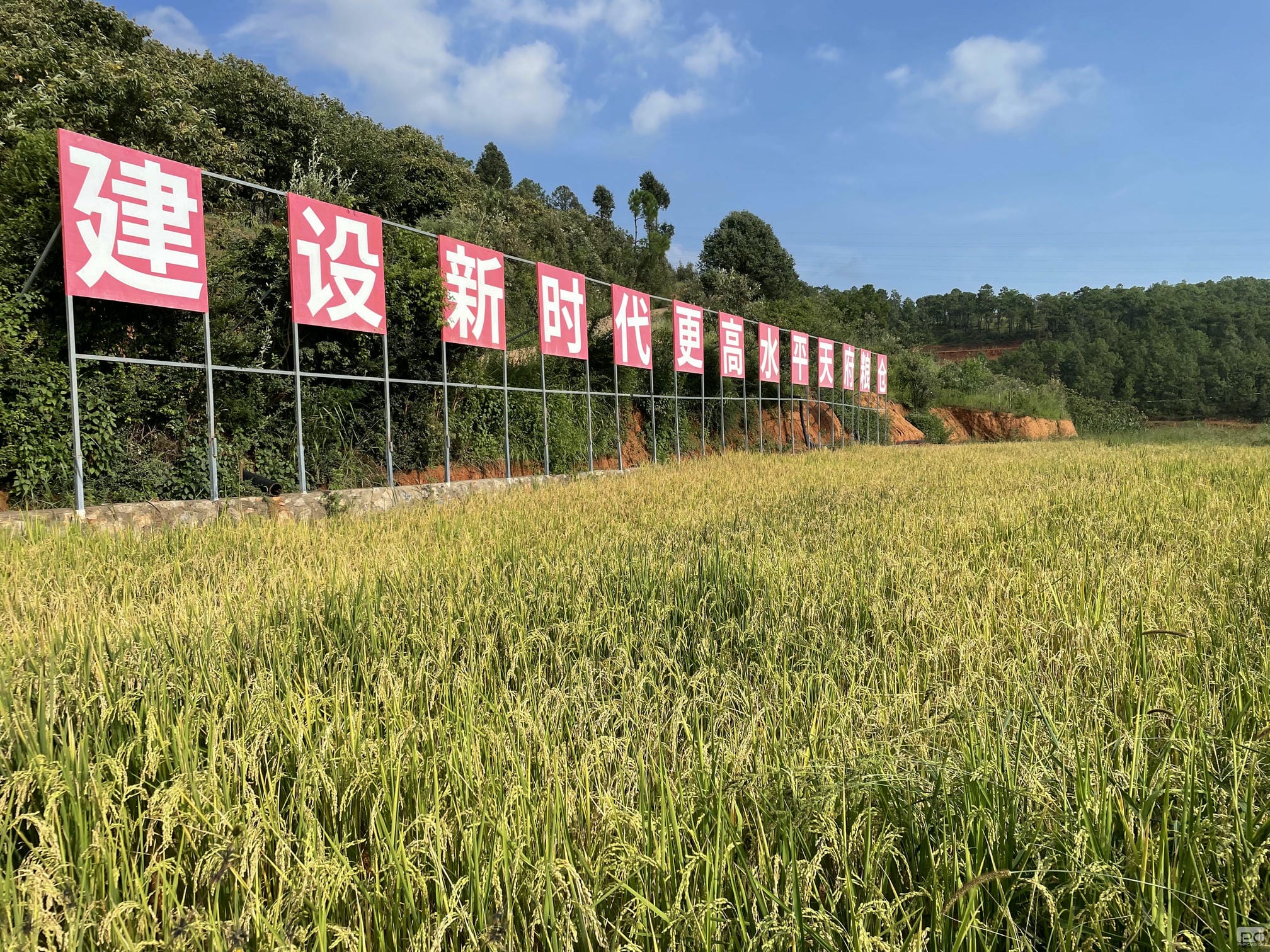 安博电竞·(anbo)官方网站