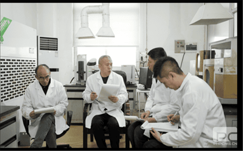 青羊峡氧化铅锌矿选矿研究：犁出新赛道 赋能新发展