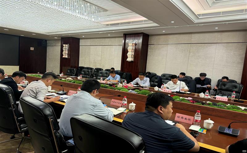 公司领导赴攀枝花项目调研